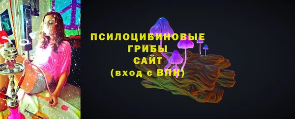 соль ск Медногорск