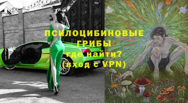 тгк Медвежьегорск