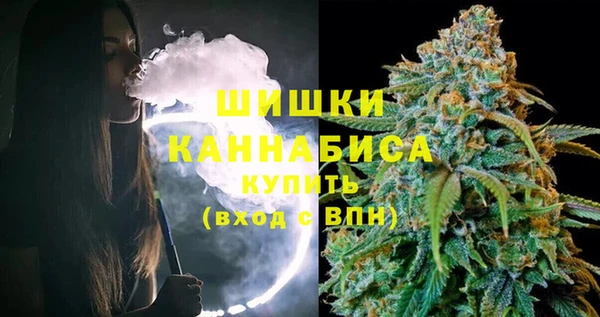 соль ск Медногорск