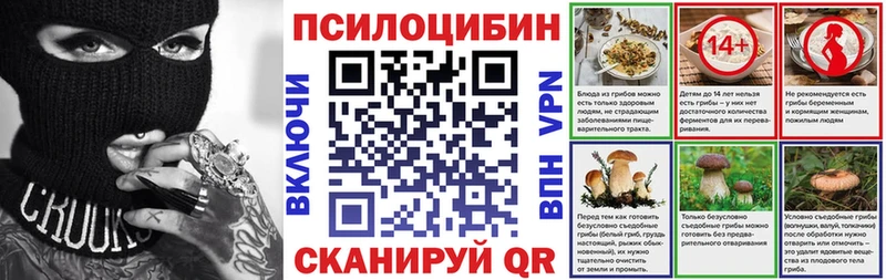 Купить где  Оса  Галлюциногенные грибы Cubensis 